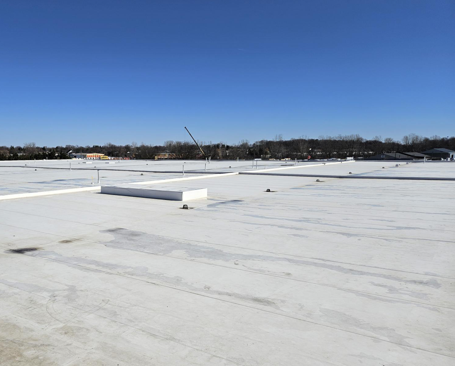 TPO roof at 31 Firestone Blvd.