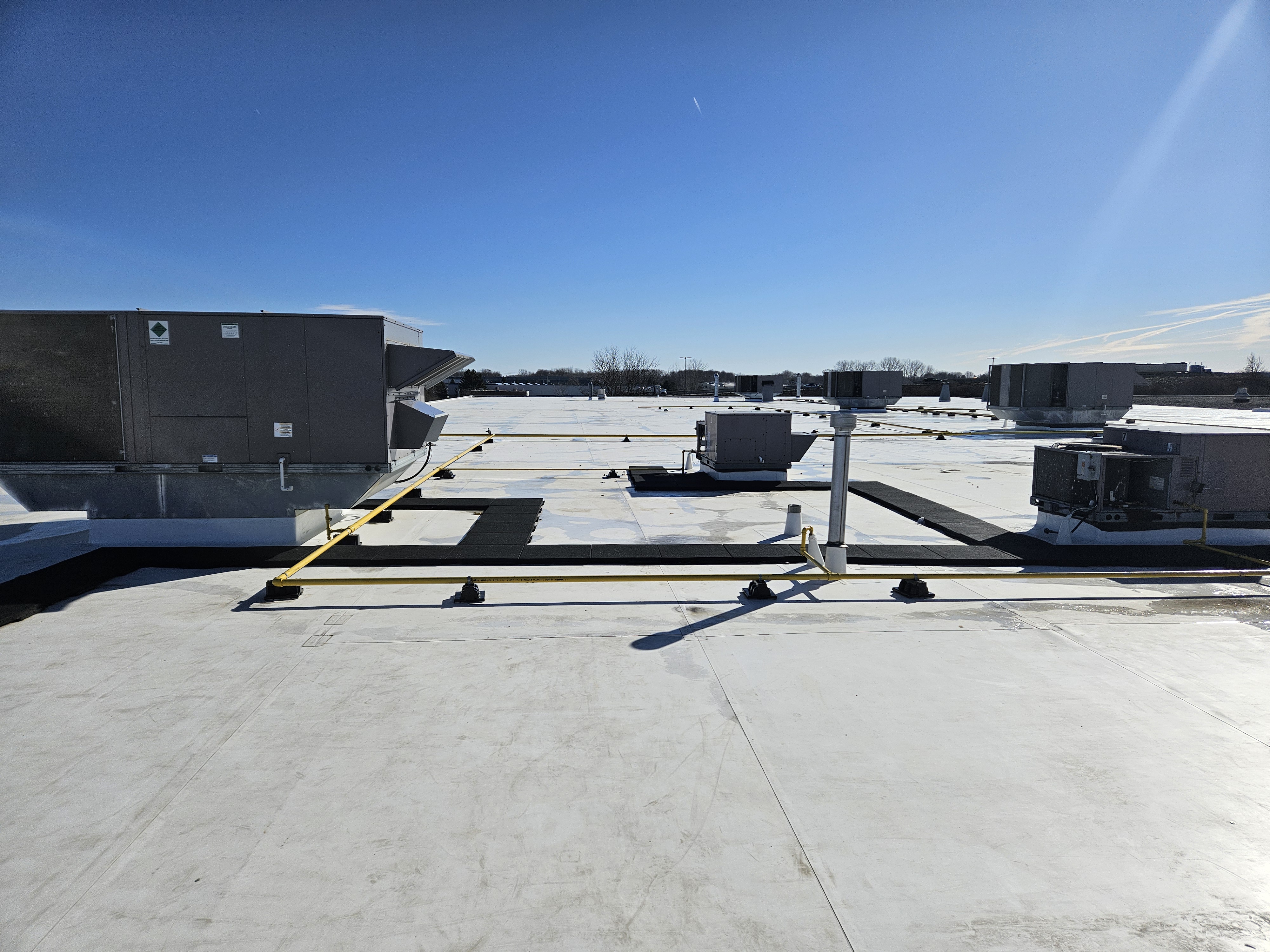 3000 Page Street project photo 1