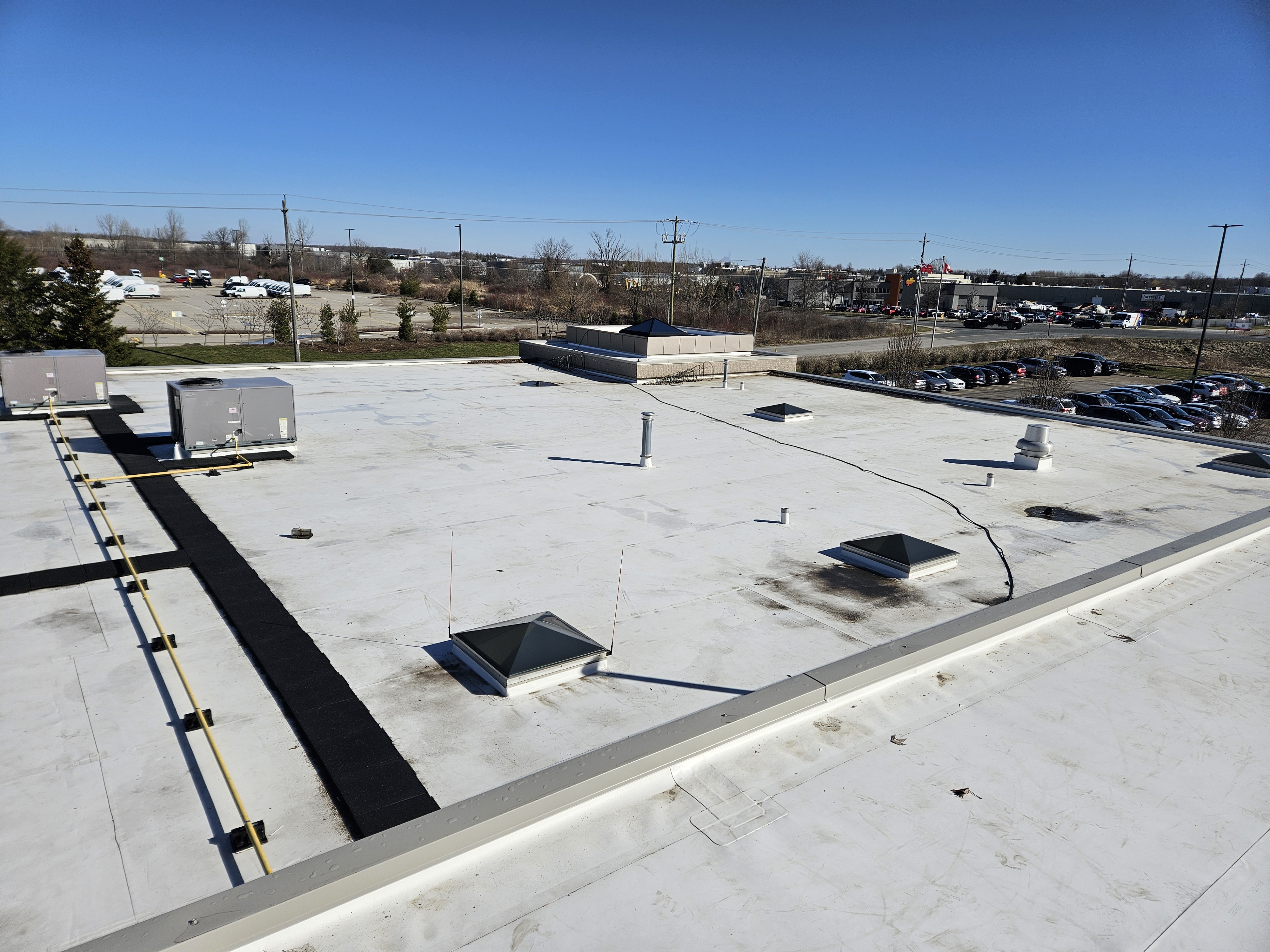 3000 Page Street project photo 3